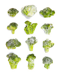 Image showing Broccoli isolated on the white background