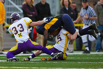 Image showing VIenna Vikings vs Belluno Grifoni