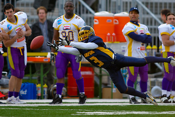 Image showing VIenna Vikings vs Belluno Grifoni