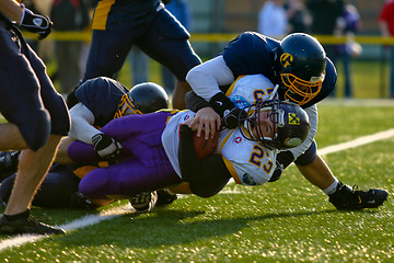 Image showing VIenna Vikings vs Belluno Grifoni