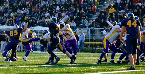 Image showing VIenna Vikings vs Belluno Grifoni