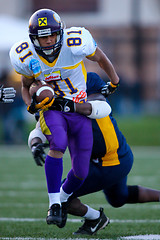 Image showing VIenna Vikings vs Belluno Grifoni