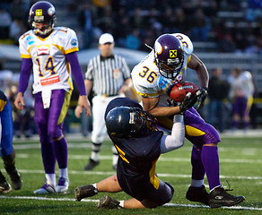 Image showing VIenna Vikings vs Belluno Grifoni