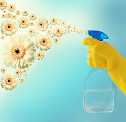 Image showing close up of hand with cleanser spraying flowers