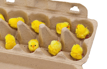 Image showing Easter chicks in an eggbox