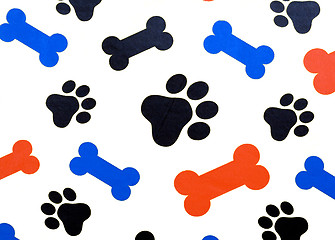 Image showing Paws and Bones