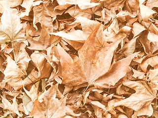 Image showing Retro looking Falling leaves