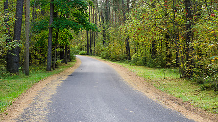 Image showing The road passes through the autumn forest