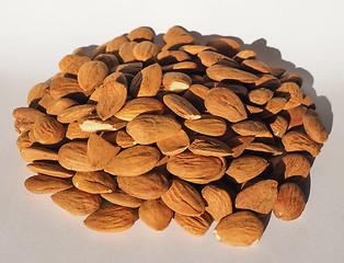 Image showing Almonds dried fruit heap