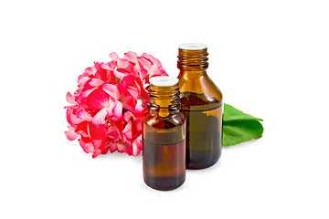 Image showing Oil with pink geraniums in two dark bottles