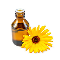 Image showing Oil with calendula