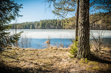 Image showing Spring landscape at wood lake