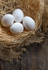 Image showing Nest with eggs 