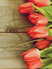Image showing Frame of Spring Tulips