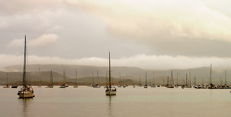 Image showing Parking of Small Yachts