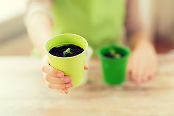 Image showing close up of woman hand holding pot with sprout