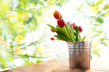 Image showing close up of tulip flowers in tin bucket