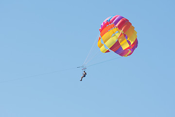 Image showing Man floating in the sky on a parachute
