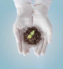 Image showing close up of scientist hands with plant and soil