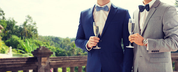 Image showing close up of male gay couple with champagne glasses