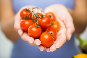 Image showing close up of woman holding cherry tomatoes in hands