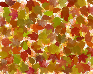 Image showing autumn leaves