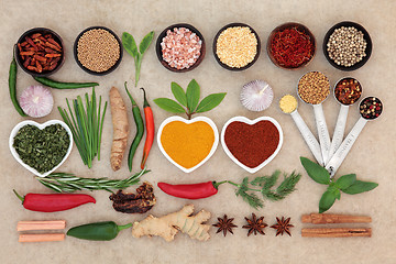 Image showing Herb and Spice Sampler