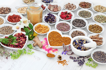 Image showing Alternative Herbal Medicine