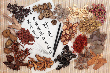 Image showing Chinese Herbal Medicine