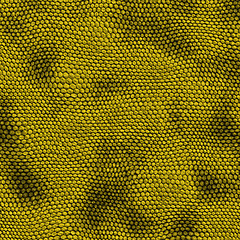 Image showing yellow snake skin