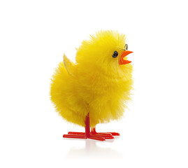 Image showing Single easter chick, isolated