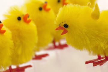 Image showing Abundance of easter chicks, selective focus