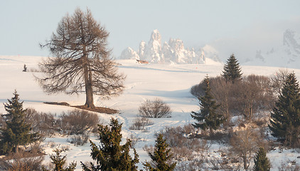 Image showing A view of snow covered landscape