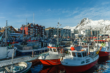 Image showing skrei fishing