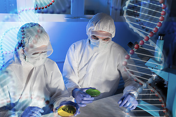 Image showing close up of scientists with test samples in lab