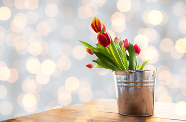 Image showing close up of tulip flowers