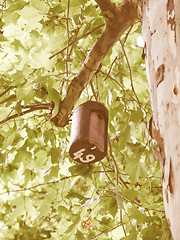 Image showing Bat house vintage