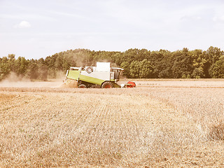 Image showing  Harvest vintage