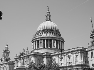 Image showing Black and white St Paul Cathedral in London