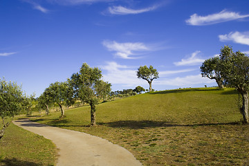 Image showing lonely trees 7