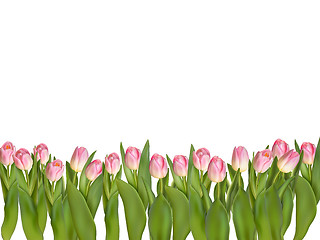 Image showing Blossoming tulips decorative border. EPS 10