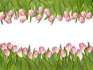 Image showing Blossoming tulips decorative border. EPS 10