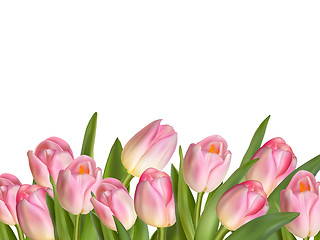 Image showing Beautiful realistic tulip bouquet. EPS 10