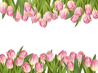 Image showing Blossoming tulips decorative border. EPS 10