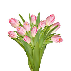 Image showing Tulips decorative border. EPS 10