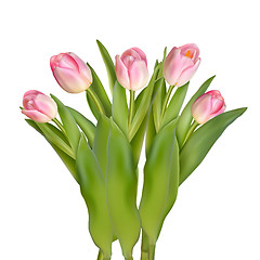 Image showing Tulips decorative border. EPS 10