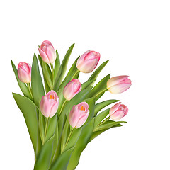 Image showing Beautiful realistic tulip bouquet. EPS 10