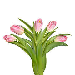 Image showing Beautiful realistic tulip bouquet. EPS 10