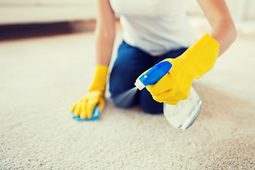 Image showing close up of woman with cloth cleaning carpet