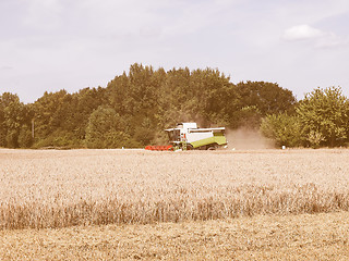 Image showing  Harvest vintage